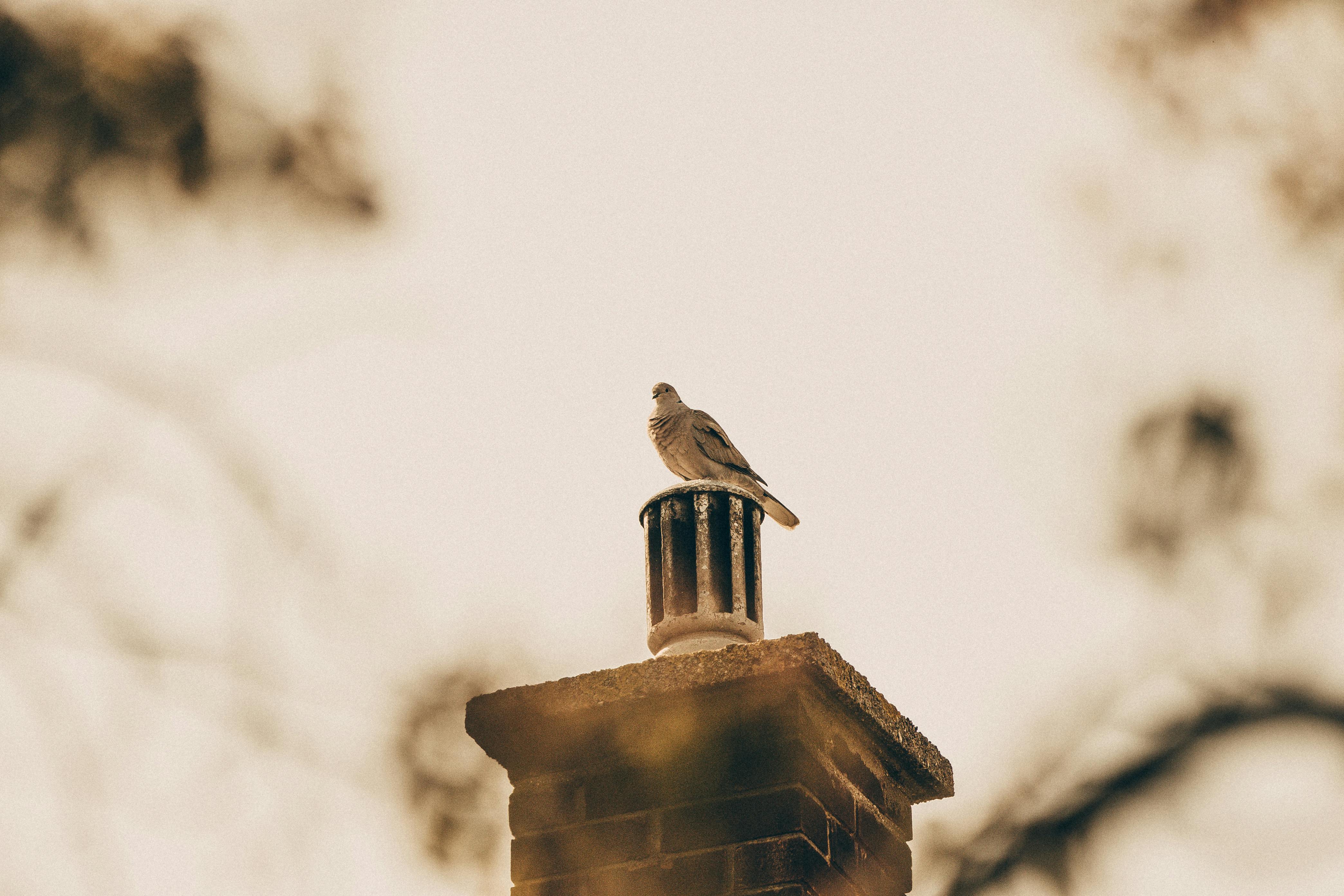 Professional Chimney Cap Installation Services in Beverly, MA Expert Chimney Cap Installation in Beverly, Massachusetts